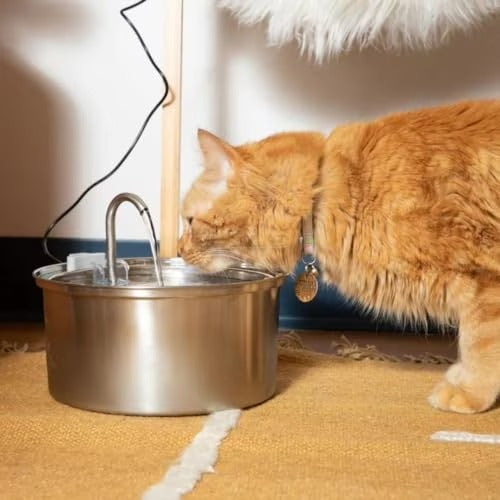 files/imgi_125_KittySpout-MFM0300-Stainless-Steel-Cat-Water-Fountain-3-2L-108oz-Durable-Quiet-Easy-to-Clean_2d93f8ae-dd95-4a9c-83ff-7c424ca2fbba.ece1fe3a09d682456ccdd2414885d7ae_1.jpg